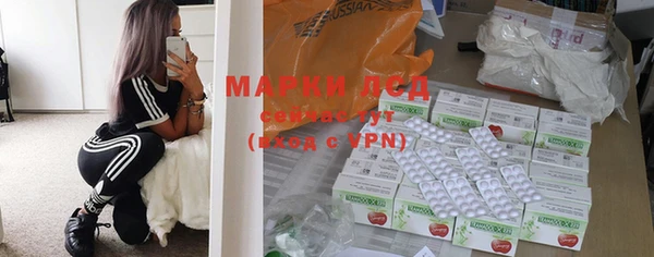 ГАЛЛЮЦИНОГЕННЫЕ ГРИБЫ Беломорск