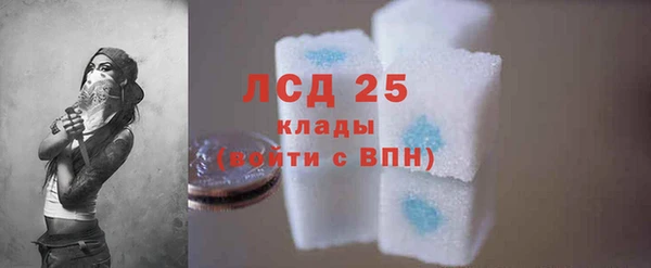 ГАЛЛЮЦИНОГЕННЫЕ ГРИБЫ Беломорск