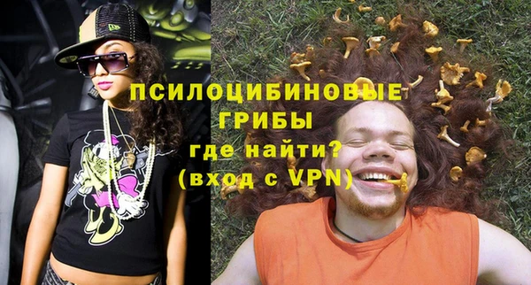 ГАЛЛЮЦИНОГЕННЫЕ ГРИБЫ Беломорск