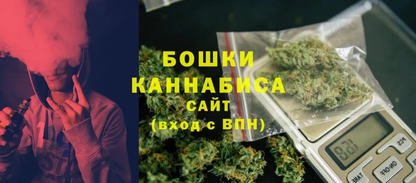 ГАЛЛЮЦИНОГЕННЫЕ ГРИБЫ Беломорск