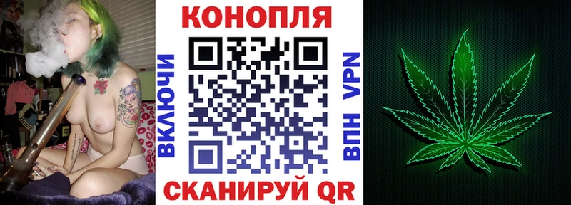 Каннабис Amnesia  Купить закладки  Лесной 